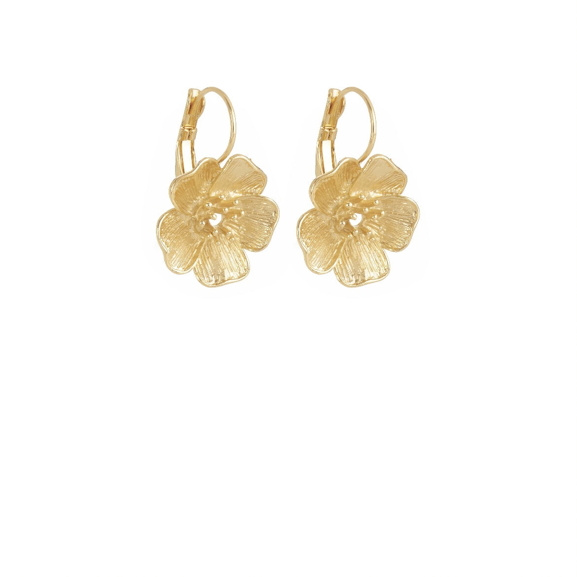 Collection Hibiscus