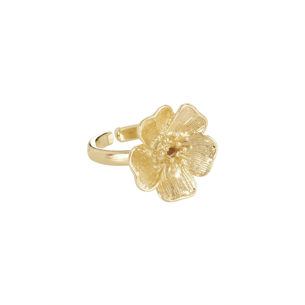 Collection Hibiscus