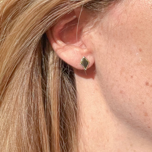 Puces d'oreilles losanges